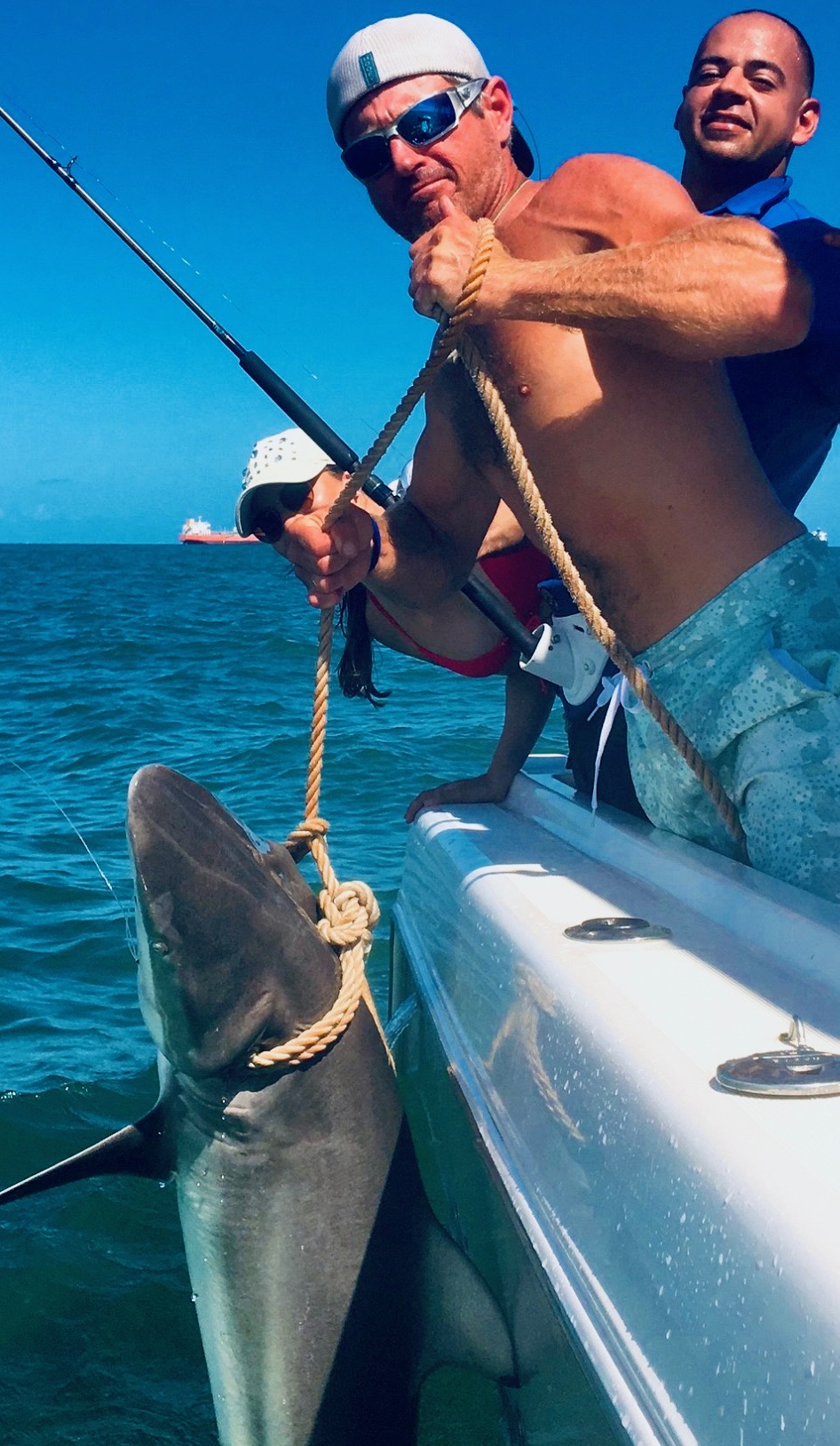 Shark Fishing